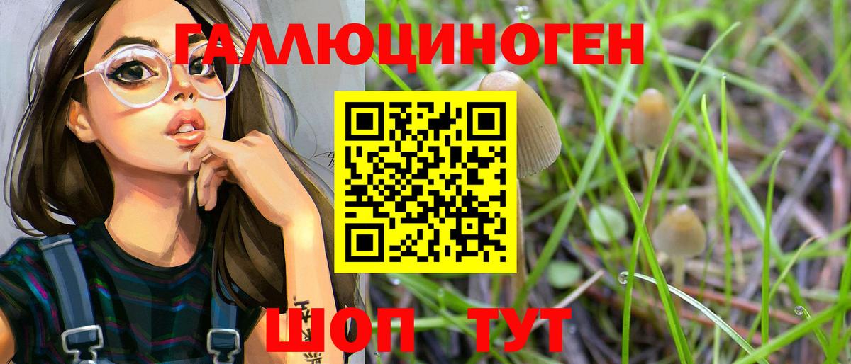 Галлюциногенные грибы ЛСД  Галлюциногенные грибы Psilocybine cubensis  Ржев  Вход с VPN 
